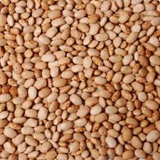 brown beans (drum)