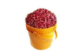 dried shombo(paint )