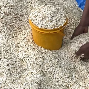 egusi