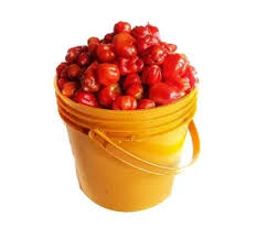 scotch bonnet pepper (rodo) paint