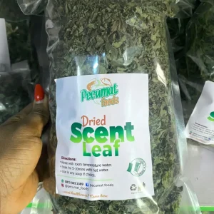 Scent leaf
