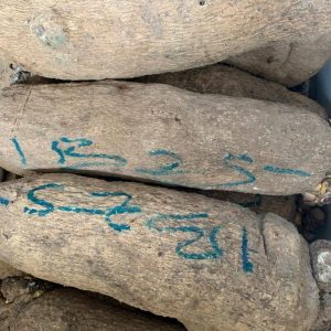 Yam big size(5tubers)